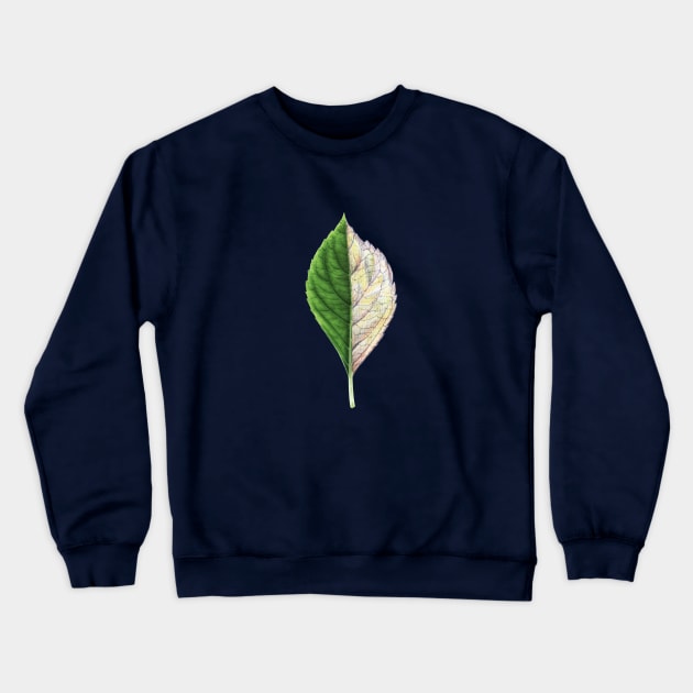 Summer vs autumn Crewneck Sweatshirt by DarkoRikalo86